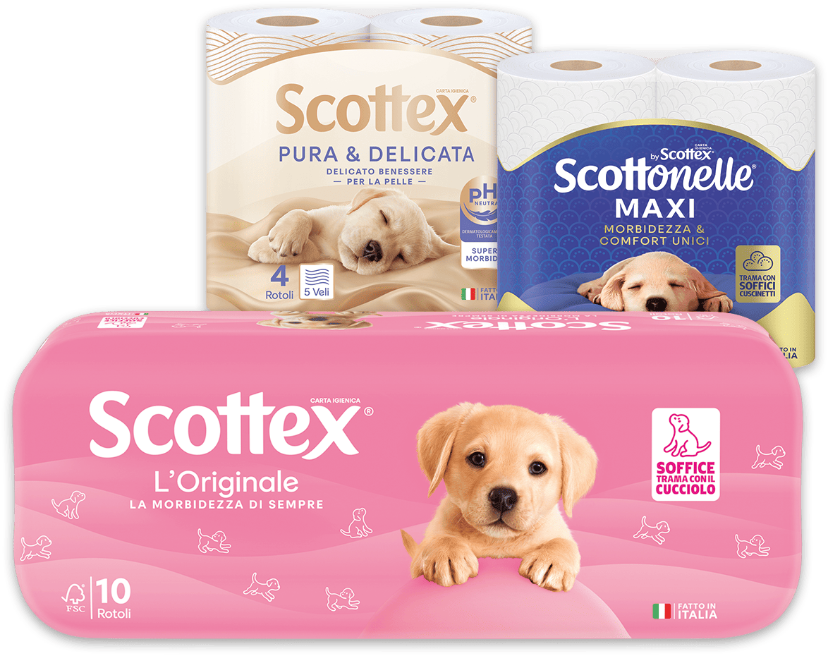 Scottex Pura & Delicata, Scottex L'Originale e Scottonelle 12 Rotoli